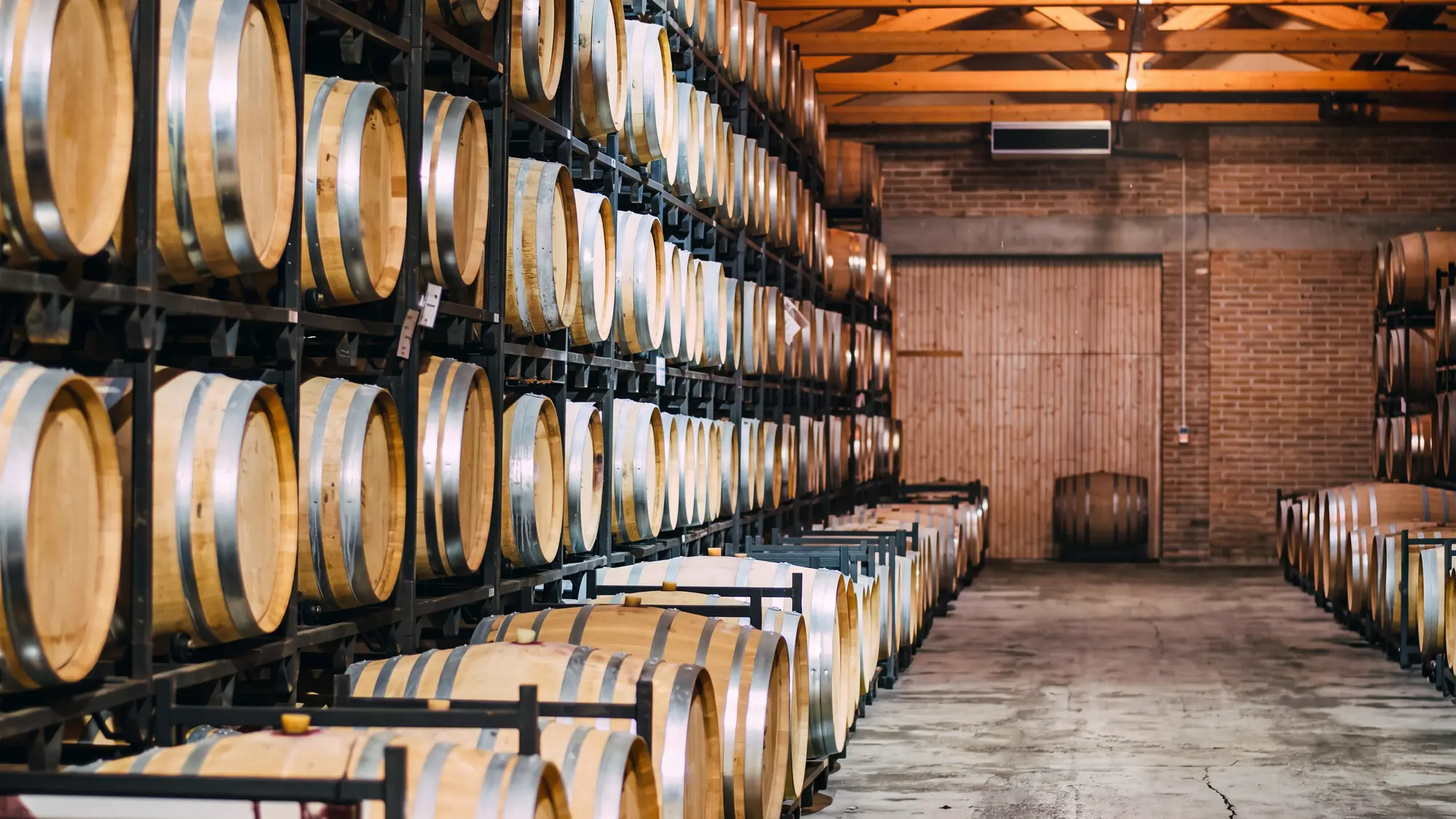 Prestige wine cellar with rows of carefully stored bottles