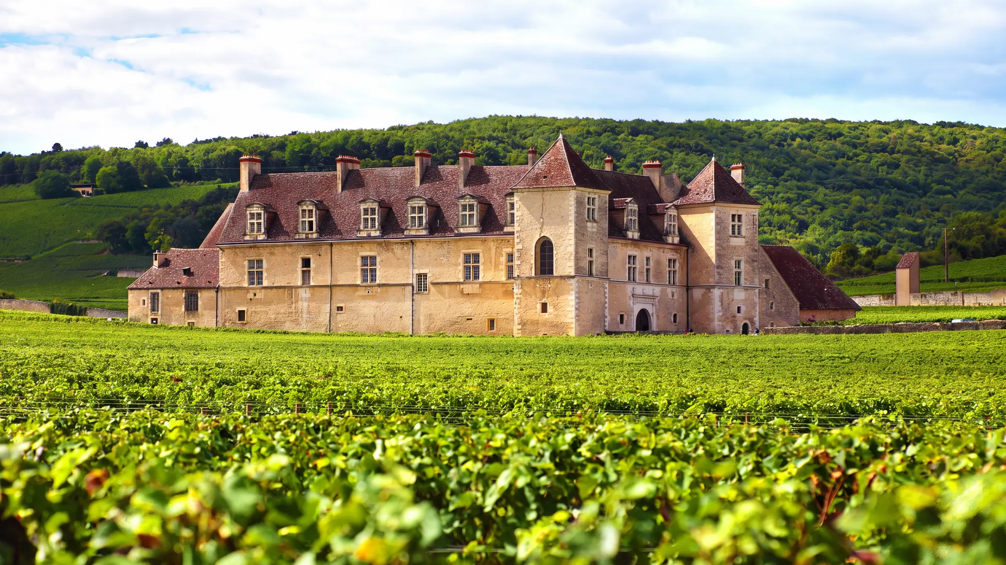 Historic French wine château surrounded by vineyards